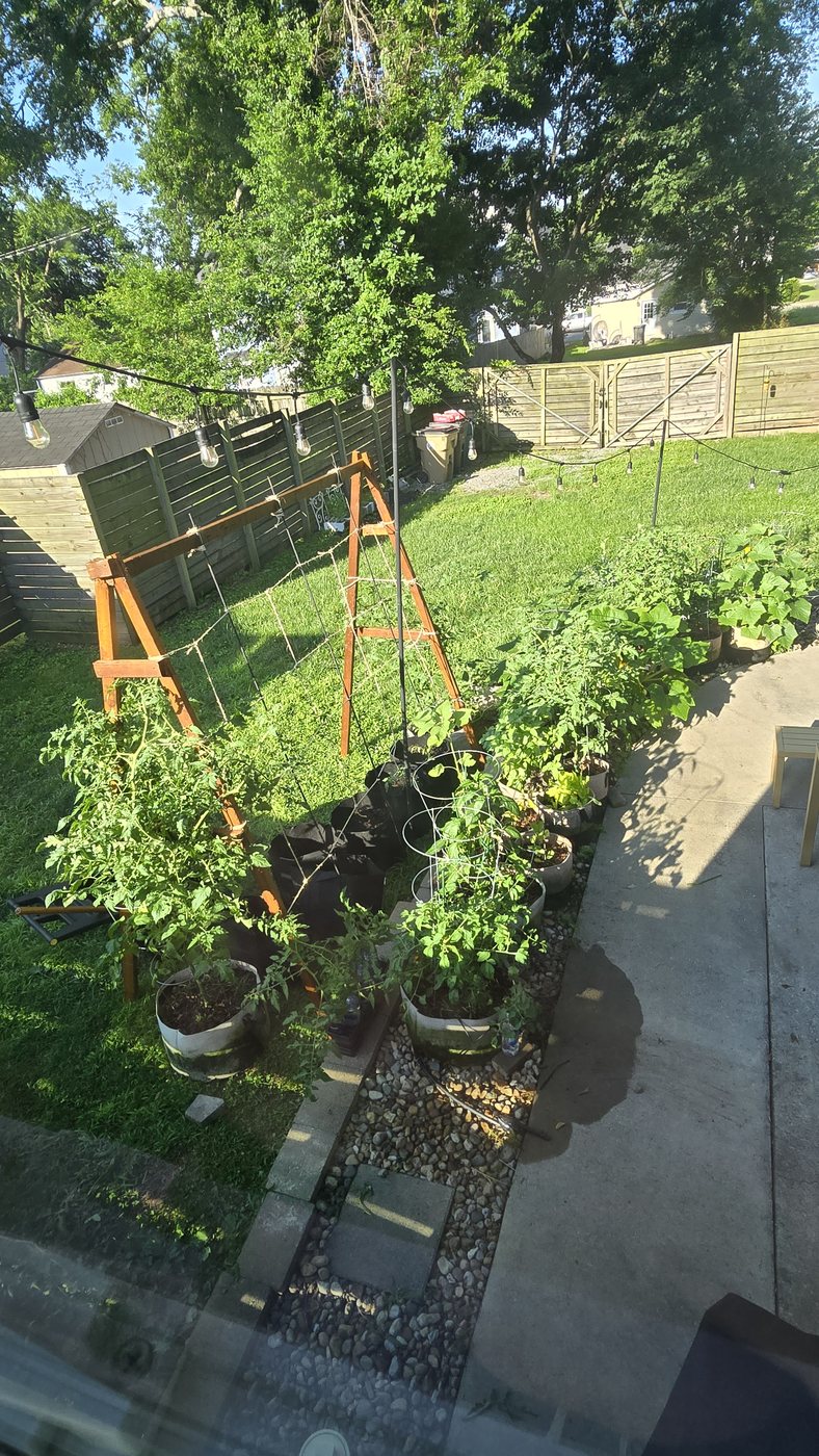 Backyard garden at Manfredi Provisions Co.