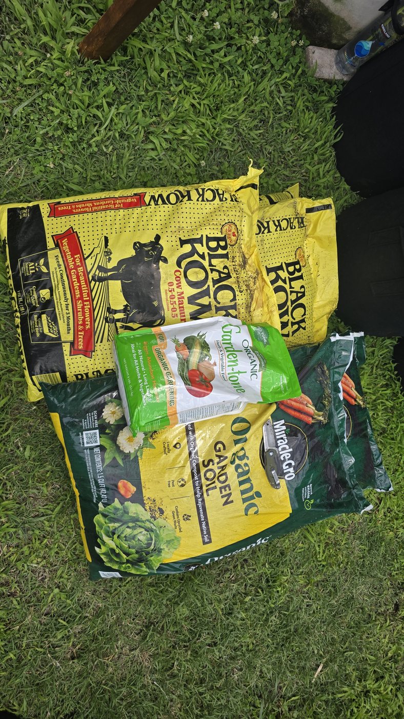 Why We Grow Organic in the Middle of the City
